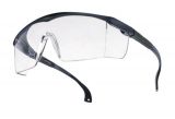 Schmalz Schutzbrille